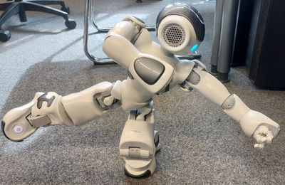 Trust, (Dis)Comfort, and Voice Quality: Anthropomorphism in Verbal Interactions with NAO